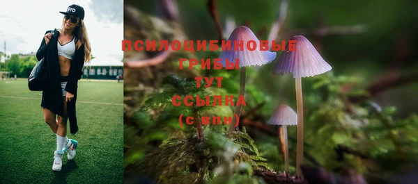 Альфа ПВП Белокуриха