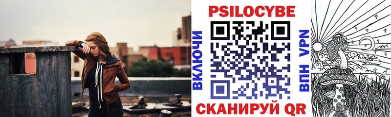 Псилоцибиновые грибы Psilocybe  darknet какой сайт  Камышлов  где найти  