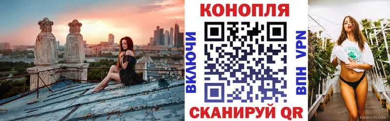 Бошки Шишки индика Камышлов